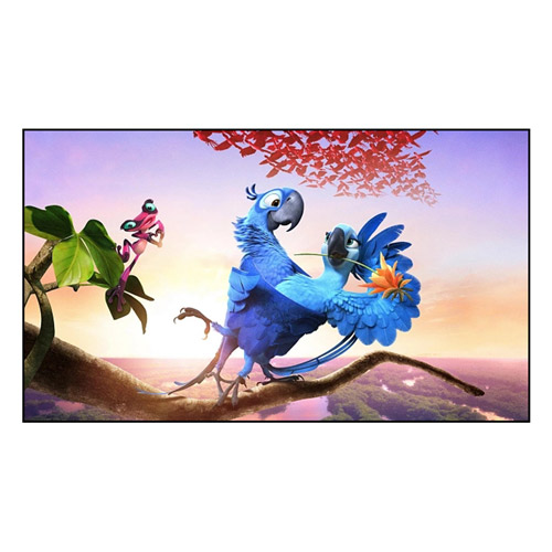 Hoe verbetert een vast framescherm uw kijkervaring?